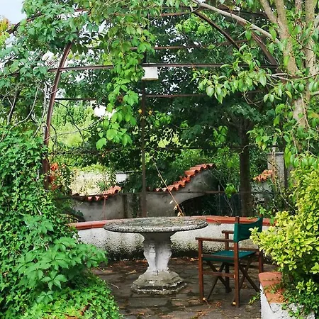 Artemisia Villa Borgo a Buggiano