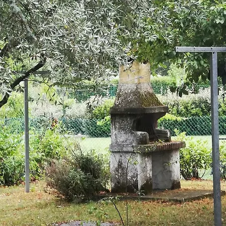 Artemisia *