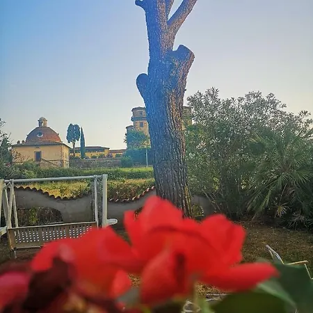 Artemisia Borgo a Buggiano
