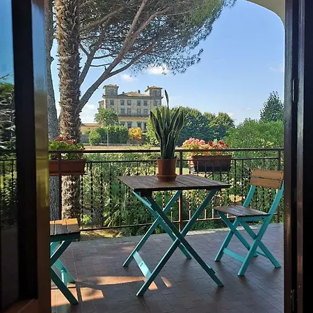 Artemisia Borgo a Buggiano